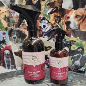 BLOW MY SECRET - Accélérateur de séchage et anti-frisottis - PEKE SECRET